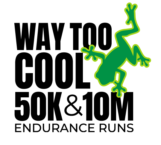 way too cool logo